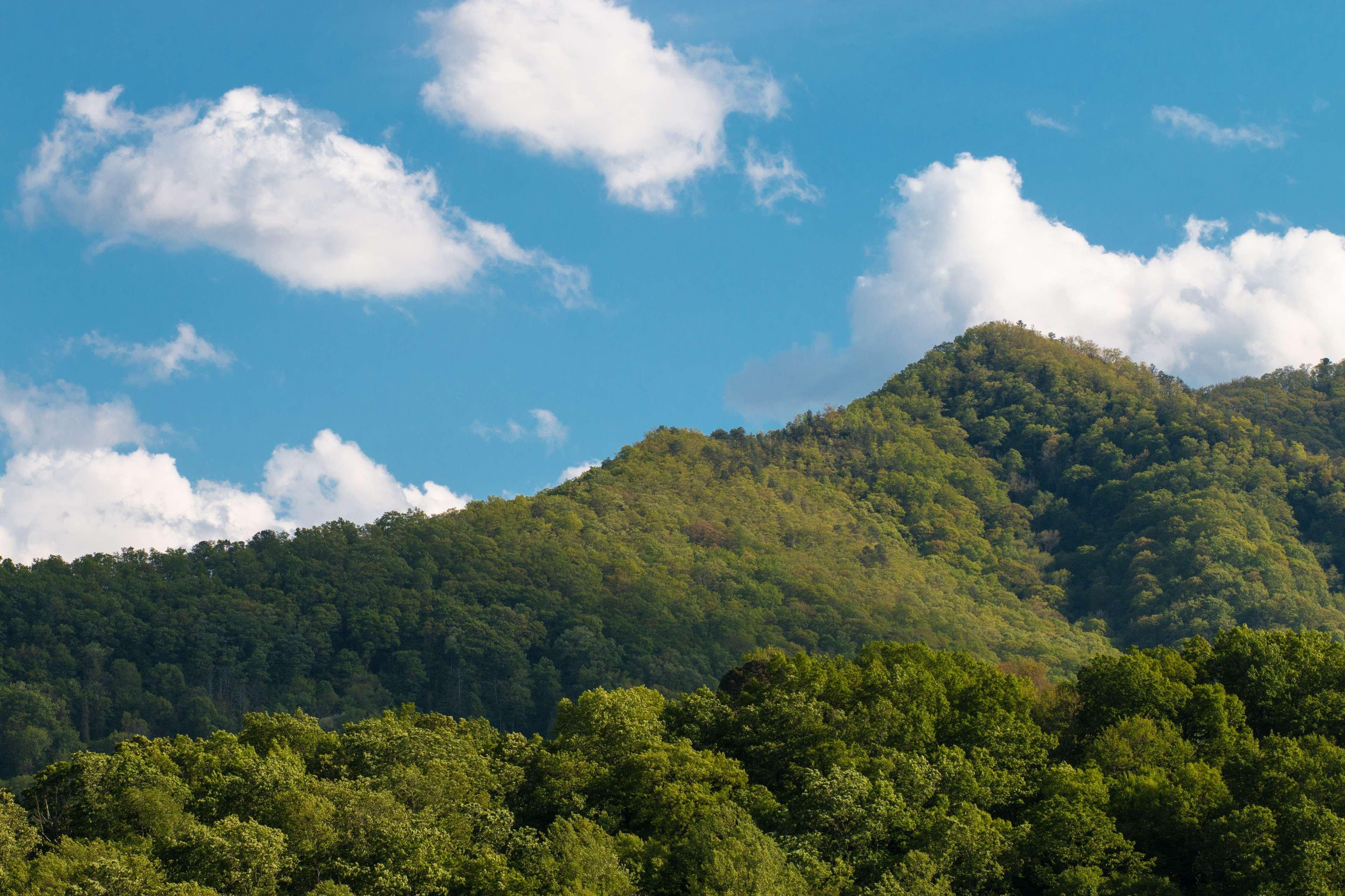 Best Western Smoky Mountain Inn Waynesville Exterior photo